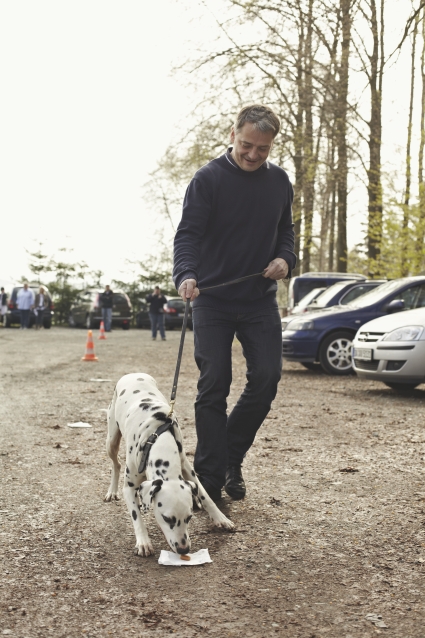 Hunde coaching 03n