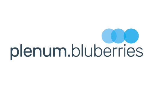 Profilanzeige logo berater2022  0010 plenum bluberries logo einzeilig pos 2c