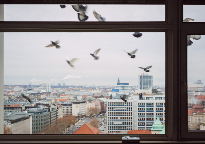 Ein Blick aus einem Fenster auf eine Stadtlandschaft an einem bewölkten Tag. Mehrere Tauben fliegen vor dem Fenster herum. Im Hintergrund sind Gebäude unterschiedlicher Höhe und Architektur zu sehen, darunter Hochhäuser und Gebäude mit roten Dächern. Das Ambiente wirkt urban und belebt.