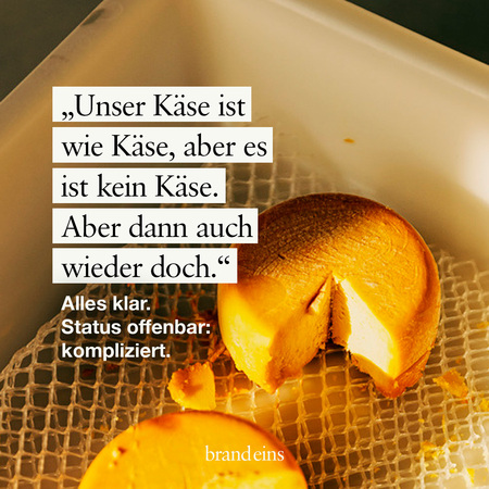 Das Bild zeigt ein Stück Käse auf einem weißen Teller. Im Hintergrund ist ein Text zu sehen, der sich mit der Definition von Käse auseinandersetzt: „Unser Käse ist wie Käse, aber es ist kein Käse. Aber dann auch wieder doch.“ Der Text wird durch die Formulierung „Status offenbar: kompliziert“ ergänzt. Das Licht ist warm und betont die Textur des Käses.