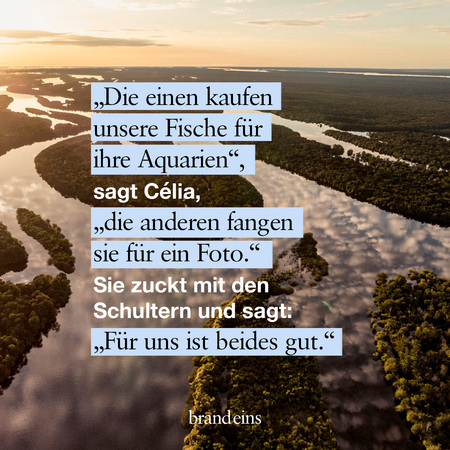 Ein weiter Fluss schlängelt sich durch eine grüne Landschaft unter einem hellen Himmel. Im Vordergrund steht Text, der ein Zitat von Célia wiedergibt: „Die einen kaufen unsere Fische für ihre Aquarien, die anderen fangen sie für ein Foto. Für uns ist beides gut.“ Das Bild vermittelt eine nachdenkliche Stimmung über die Beziehung zwischen Mensch und Natur und die unterschiedlichen Arten der Nutzung natürlicher Ressourcen.