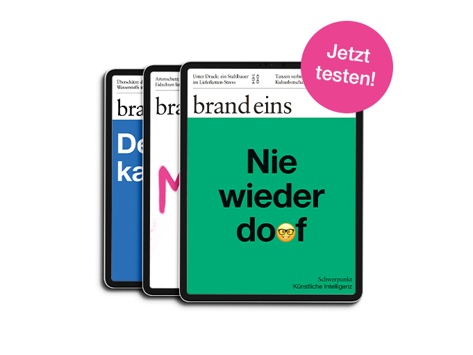 Drei Buchcover sind nebeneinander dargestellt. Das linke Cover ist dunkelblau mit weißer Schrift. Das mittlere Cover ist dunkelgrün mit weißer Schrift und dem Titel "brand eins". Das rechte Cover ist hellgrün mit dem Aufdruck "Nie wieder doof" in gelber Schrift. Ein pinkfarbener Button mit der Aufschrift "Jetzt testen!" befindet sich rechts oben. Unterhalb der Cover steht in kleiner Schrift "Schwerpunkt Künstliche Intelligenz".