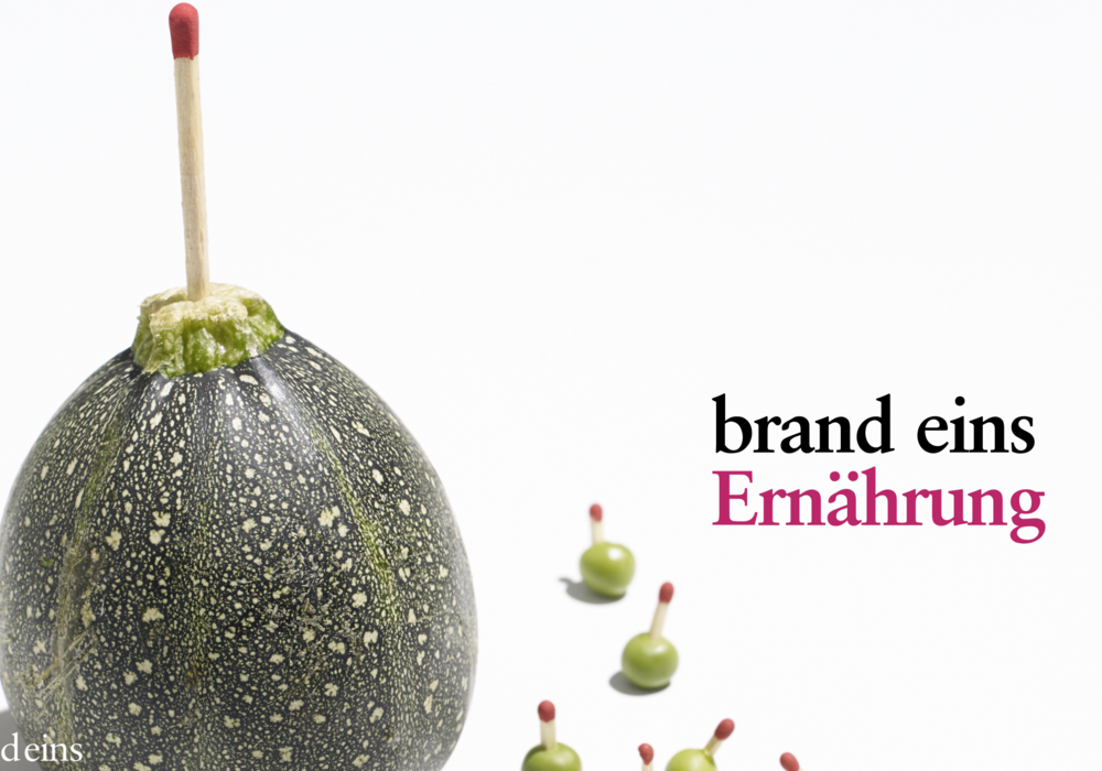 Ein kleiner Kürbis mit einem Streichholz in der Mitte. Im Hintergrund schweben weitere kleine Kürbisse und Streichhölzer. Der Text "brand eins Ernährung" ist rechts zu sehen.
