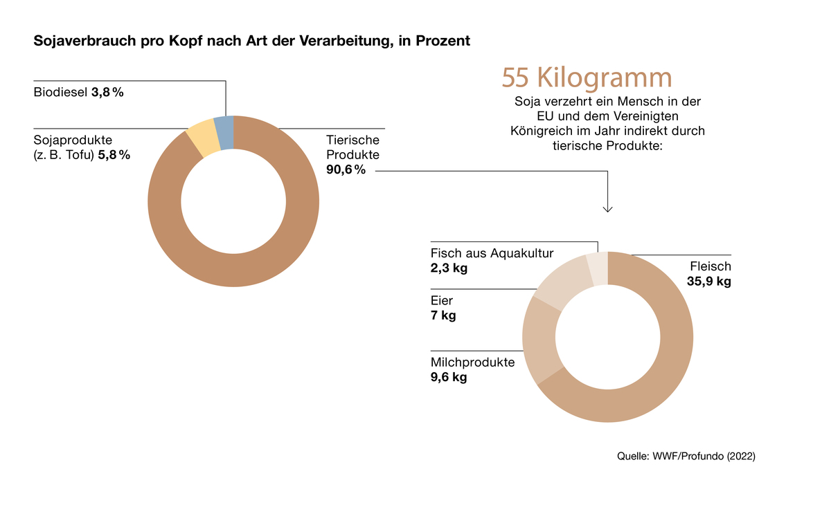 Grafik: Zwei Kreise zeigen den Sojaverbrauch pro Kopf in der EU und im Vereinigten Königreich, aufgeteilt nach Verarbeitungsart. Der linke Kreis stellt den Gesamtverbrauch in Prozent dar: 90,6% werden über tierische Produkte konsumiert, 5,8% über Sojaprodukte (z.B. Tofu) und 3,8% über Biodiesel. Der rechte Kreis zeigt die Aufteilung des Sojaverbrauchs durch tierische Produkte in Kilogramm: 35,9 kg über Fleisch, 9,6 kg über Milchprodukte, 7 kg über Eier und 2,3 kg über Fisch aus Aquakultur. Daneben steht der Hinweis, dass ein Mensch in der EU und im Vereinigten Königreich im Jahr indirekt 55 Kilogramm Soja durch tierische Produkte verzehrt. Quelle: WWF/Profundo (2023).