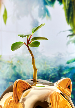 Ein kleiner grüner Pflanzenzweig wächst aus dem Kopf einer goldenen Tierfigur. Der Hintergrund ist verschwommen und zeigt grüne Blätter und blaue Farbtöne, was eine natürliche Umgebung andeutet.