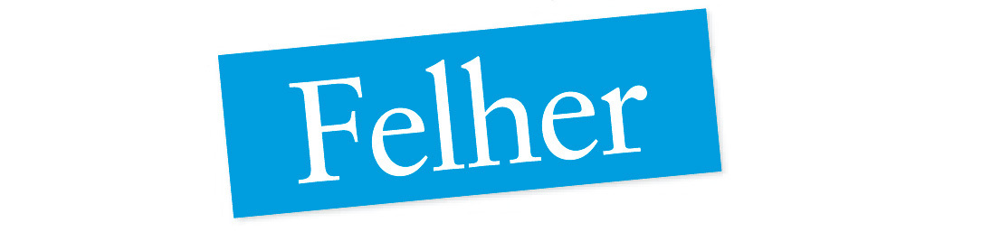 Ein hellblaues Rechteck mit dem weißen Schriftzug "Felher" darauf. Das Rechteck befindet sich auf einem weißen Hintergrund, oberhalb und unterhalb ist ein schwarzer Bereich.