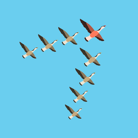 Eine stilisierte Grafik zeigt eine Gruppe von neun Gänsen, die in einer V-Formation gegen einen hellblauen Himmel fliegen. Die Gans an der Spitze ist rot-weiß gefärbt, die anderen sind grau-weiß. Die Grafik vermittelt ein Gefühl von Bewegung und Richtung.