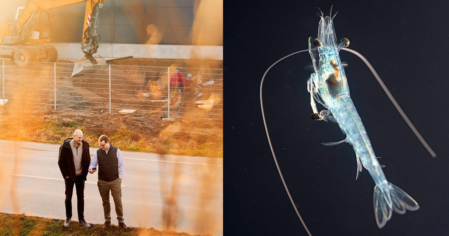 Das Bild ist in zwei Hälften geteilt. Links stehen zwei Männer in Anzügen vor einer Baustelle. Im Hintergrund ist ein Bagger zu sehen. Die Männer schauen auf ihre Smartphones und wirken konzentriert. Rechts ist ein durchscheinendes, kleines Krebs-ähnliches Tier im Wasser zu sehen, das mit seinen langen Fühlern um sich tastet. Der Hintergrund ist dunkelblau und erinnert an die Tiefsee.