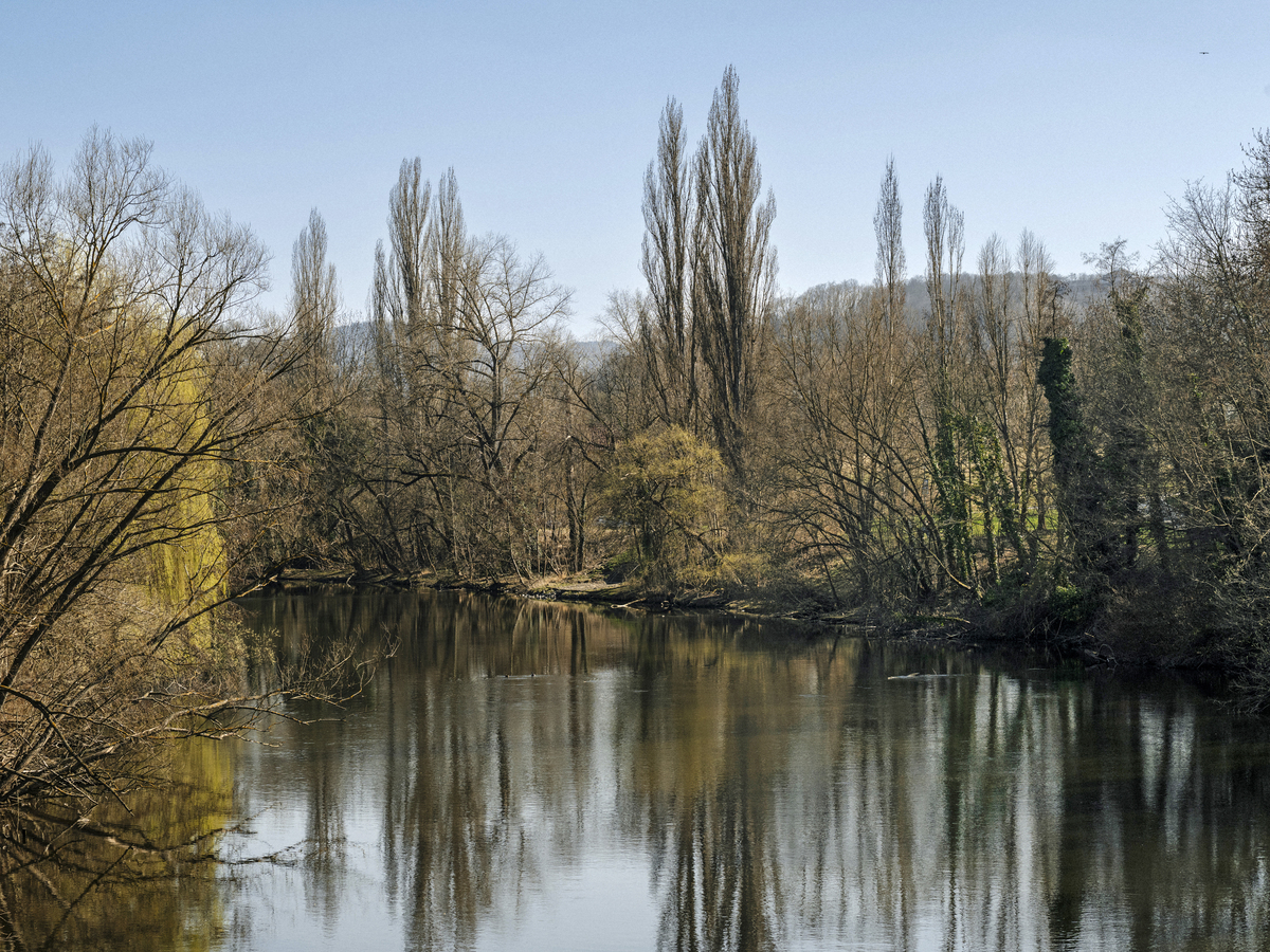 Das Bild zeigt eine heitere Landschaft mit einem ruhigen See, der von einem dichten Baumbestand umgeben ist. Die Bäume mit ihren kahlen Ästen spiegeln sich im ruhigen Wasser des Sees, wodurch ein spiegelähnlicher Effekt entsteht. Der Himmel über dem See ist klar und blau und bietet einen schönen Hintergrund für die ruhige Szene. Die Gesamtkomposition des Bildes ist ausgewogen und harmonisch und bringt die natürliche Schönheit der Umgebung zur Geltung.