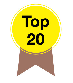 Das Bild zeigt ein gelbes, rundes Abzeichen mit der Aufschrift "Top 20" in schwarzer Schrift. Das Abzeichen befindet sich auf einem weißen Hintergrund und wird von einem braunen Band eingerahmt. Das Abzeichen scheint ein Symbol oder eine Auszeichnung zu sein, möglicherweise im Zusammenhang mit einem Wettbewerb oder einer Leistung. Das Design ist einfach und geradlinig, mit dem Text und den Bandelementen deutlich sichtbar.