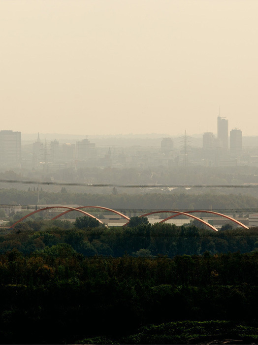 Das Bild zeigt eine Stadtlandschaft mit einer Brücke, die einen Fluss überspannt, umgeben von Bäumen und Gebäuden. Die Brücke ist in einer auffälligen roten Farbe gestrichen und weist zwei geschwungene Bögen auf. Im Hintergrund ist die Skyline der Stadt zu sehen, mit einer dunstigen Atmosphäre. Die Szene wurde von einem hohen Aussichtspunkt aus aufgenommen und bietet einen umfassenden Blick auf die Stadtlandschaft.