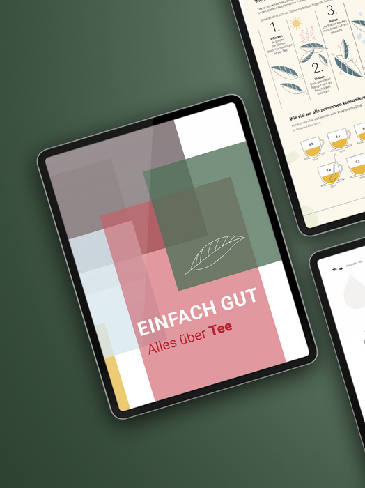 Das Bild zeigt ein Tablet mit einem farbenfrohen, abstrakten Design auf dem Bildschirm, bei dem es sich offenbar um eine digitale Präsentation oder Lehrmaterial handelt. Das Tablet befindet sich auf einer grünen Fläche, und im Hintergrund ist ein zweites Tablet oder Gerät zu sehen. Der Inhalt des Tablets scheint sich auf ein deutschsprachiges Thema zu beziehen, wie der Text "Einfach Gut" und "Alles über Tee" auf dem Bildschirm verdeutlicht. Das Gesamtlayout und die Gestaltung des Bildes deuten darauf hin, dass es sich um eine zugängliche Website für Nutzer mit unterschiedlichen Fähigkeiten handelt, die Informationen in einer visuell ansprechenden und benutzerfreundlichen Weise bereitstellt.