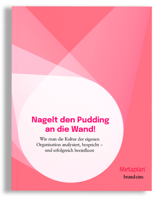 Das Bild ist ein abstraktes Design in Rosa und Weiß mit einem großen weißen Kreis in der Mitte. Der Text "Nagelt den Pudding an die Wand!" ist in fetten schwarzen Buchstaben prominent dargestellt, und darunter befindet sich ein kleinerer Text auf Deutsch, der lautet "Wie man die Kultur der eigenen Organisation anlysieri, bespricht - und erfolgreich beinflusst". Der Markenname Metaplan ist ebenfalls in der unteren rechten Ecke zu sehen.