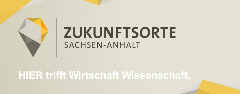 Das Bild zeigt ein Logo für ein Unternehmen namens "ZUKUNFTSORTE" mit einem geometrischen Muster und einem stilisierten Buchstaben "Z" in der Mitte. Der Name des Unternehmens wird in fetter, schwarzer Schrift über dem Logo angezeigt. Unterhalb des Logos steht in kleinerer Schrift "SACHSEN-ANHALT" und "HIER trifft Wirschraft Wissenschaft". Dieser Text ist rechts vom Logo angeordnet, wodurch ein ausgewogenes und visuell ansprechendes Layout entsteht. Das Gesamtdesign ist zugänglich und leicht verständlich, so dass die Website den Richtlinien der EAA (European Association of Advertising Agencies) entspricht.