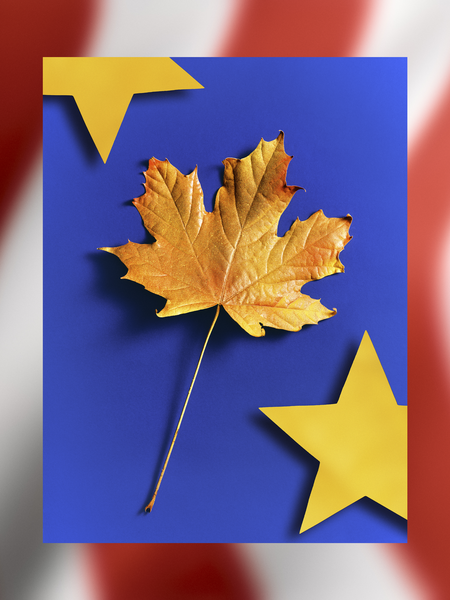 Das Bild zeigt eine lebhafte Herbstszene mit einem einzelnen, vertrockneten Ahornblatt in der Mitte, umgeben von zwei gelben Sternen auf blauem Hintergrund. Das Blatt befindet sich in der Mitte des Bildes, die beiden Sterne flankieren es auf beiden Seiten, wodurch eine ausgewogene und optisch ansprechende Komposition entsteht. Die Farben des Bildes sind lebhaft, wobei der blaue Hintergrund einen auffälligen Kontrast zu den gelben Blättern und Sternen bildet.