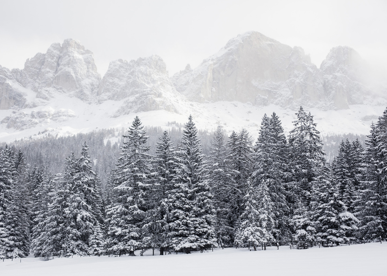 Das Bild zeigt eine ruhige Winterlandschaft mit schneebedeckten Kiefern und majestätischen Bergen im Hintergrund. Die Berge sind mit Schnee bedeckt, was ein malerisches Bild ergibt. Die Bäume stehen dicht gedrängt, und ihre Äste sind schwer mit Schnee beladen, was die winterliche Atmosphäre noch verstärkt. Die Farbpalette des Bildes wird von Weiß- und Grautönen dominiert, die die kalten und verschneiten Bedingungen widerspiegeln. Das Bild ist eine fesselnde Darstellung der Schönheit und Ruhe eines verschneiten Gebirges.