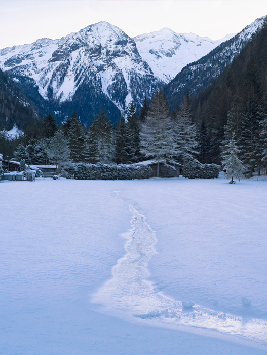 Das Bild zeigt eine ruhige Winterlandschaft mit einem schneebedeckten Feld, das zu einer entfernten Bergkette führt. Die Berge sind schneebedeckt, und ihre Gipfel sind mit einer leichten Schneedecke überzogen. Das Feld ist mit Bäumen übersät, deren Äste schwer vom Schnee bedeckt sind. Im Schnee sind Fußabdrücke zu sehen, die auf eine kürzliche Aktivität hindeuten. Die Szene ist menschenleer und vermittelt ein Gefühl von Ruhe und Einsamkeit. Das Bild ist in Farbe, was die Schönheit der verschneiten Bergkette und die Friedlichkeit der Winterszene unterstreicht.