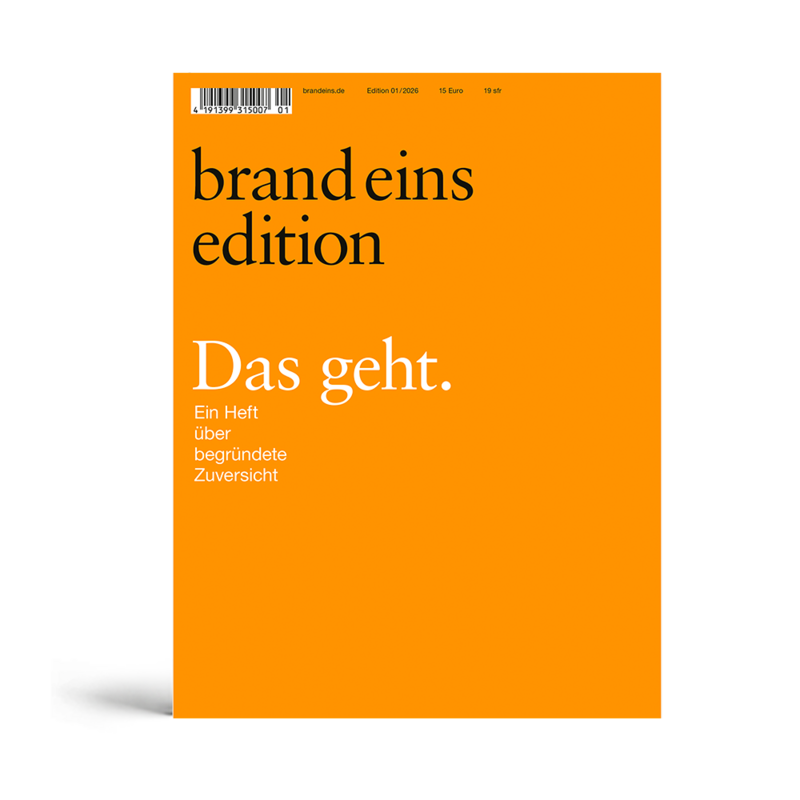Es handelt sich um das Titelbild einer Zeitschrift oder Publikation mit einer überwiegend orange-weißen Farbgebung. Der Titel "brand eins edition" ist oben in großer schwarzer Schrift prominent dargestellt. Unter dem Titel befindet sich ein Untertitel in kleinerer schwarzer Schrift, der lautet "Das geht". Der restliche Text ist in weißer Schrift gehalten und gibt zusätzliche Informationen über den Inhalt der Publikation. Das Layout und die Gestaltung des Covers deuten darauf hin, dass es sich um eine optisch ansprechende und für Nutzer mit Behinderungen zugängliche Website handelt.