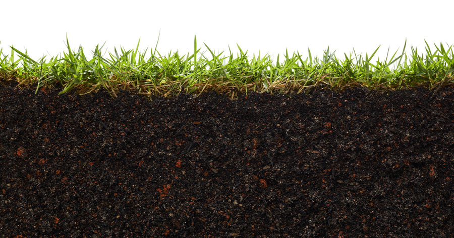 Das Bild zeigt eine detaillierte Ansicht der Boden- und Graslagen unter der Oberfläche. Der dunkle Boden ist unten zu sehen, während das Gras mit seinem leuchtenden Grün oben zu sehen ist. Das Bild ist eine Querschnittsansicht, die ein klares Verständnis der Zusammensetzung des Bodens und des üppigen Aussehens des Grases ermöglicht. Das Bild enthält keine erkennbaren Texte oder zusätzlichen Objekte, und die relativen Positionen von Boden und Gras sind deutlich sichtbar, sodass ein umfassender Überblick über die Bodenstruktur und das darüber liegende Gras gegeben ist.