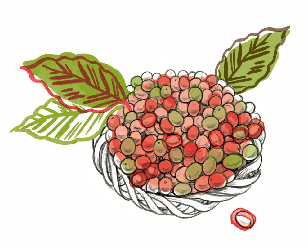 Das Bild zeigt eine stilisierte Darstellung eines Tellers, der mit verschiedenen bunten Früchten gefüllt ist, darunter Trauben, Tomaten und möglicherweise weitere Obstsorten. Der Teller steht vor einem grünen Hintergrund, und links sowie rechts davon sind jeweils ein Blatt zu sehen. Die Gesamtkomposition ist schlicht und ansprechend gestaltet, wobei der Fokus auf den leuchtenden Farben und der Anordnung der Früchte liegt.