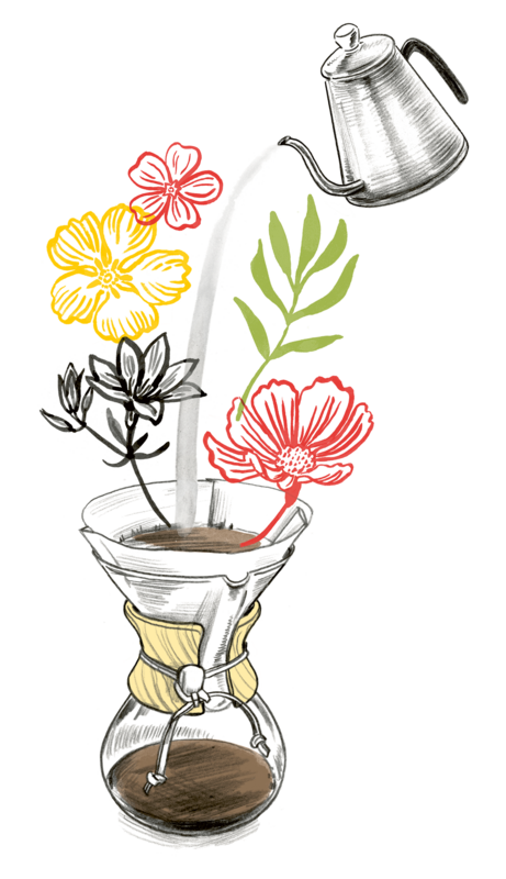 Das Bild ist eine digitale Illustration, die eine Kaffeezubereitungsanlage zeigt. Es ist eine Kaffeekanne zu sehen, aus der Wasser in eine mit Kaffee gefüllte Glaskanne gegossen wird. Die Kanne steht auf einem Tisch, und zwei Blumen – eine rote und eine gelbe – verleihen der Szene einen Hauch von Natur. Die Illustration ist vor einem weißen Hintergrund dargestellt, wodurch die Farben und Details besonders gut zur Geltung kommen.