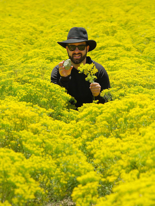 Ein Mann mit schwarzem Hut und Sonnenbrille steht inmitten eines Feldes voller gelber Blumen und hält einen kleinen Gegenstand in der Hand.
