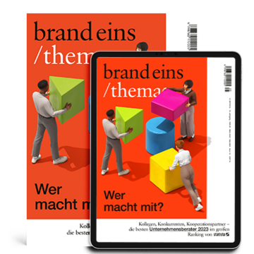 Print + Digital: brandeins /thema Unternehmensberater 2023