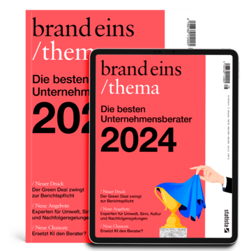 Print + Digital: brandeins /thema Unternehmensberater 2024 