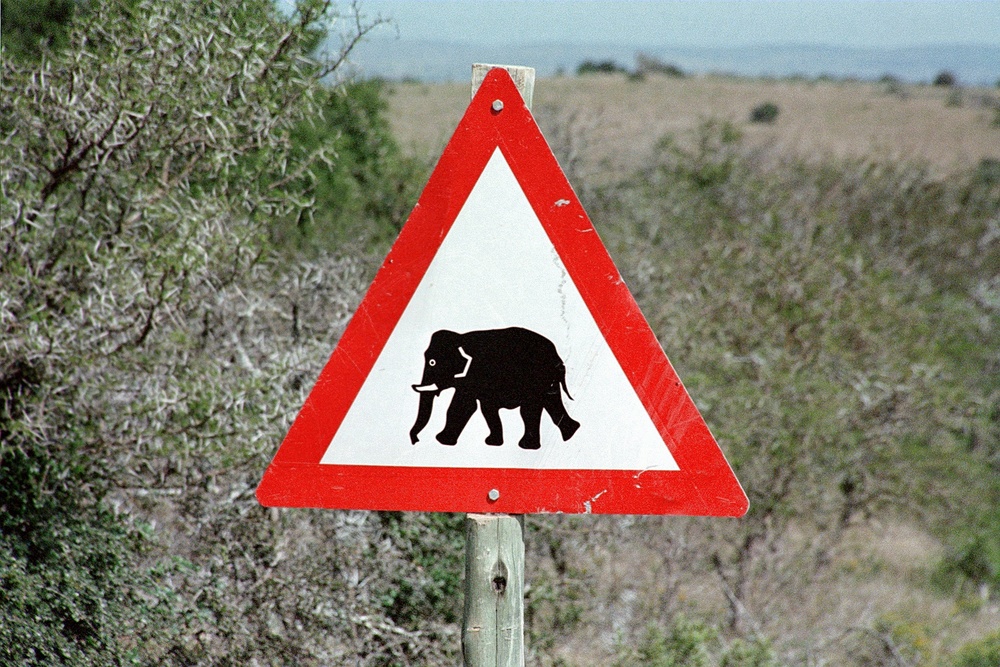 Verkehrsschild mit einem Elefanten darauf in Südafrika