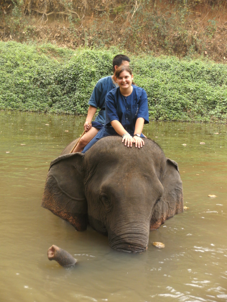 Austauschschülerin auf einem Elefanten in Thailand