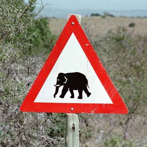 Verkehrsschild mit einem Elefanten darauf in Südafrika