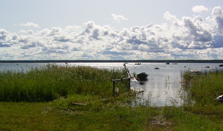 Landschaft in Estland
