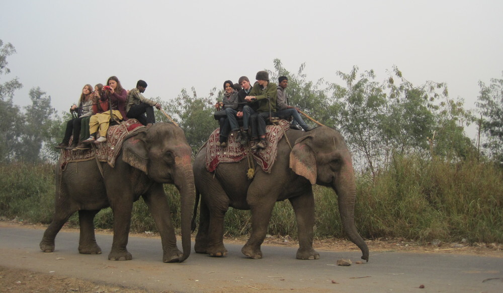 Austauschschülerin Laura auf einem Elefanten