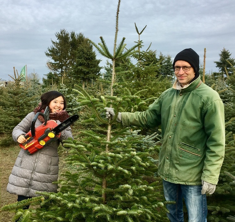 Kokoro sucht mit ihrem Gastvater einen Baum für Weihnachten aus
