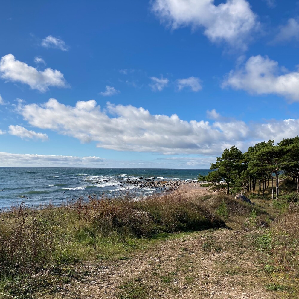 Die Küste auf der Insel Hiiumaa