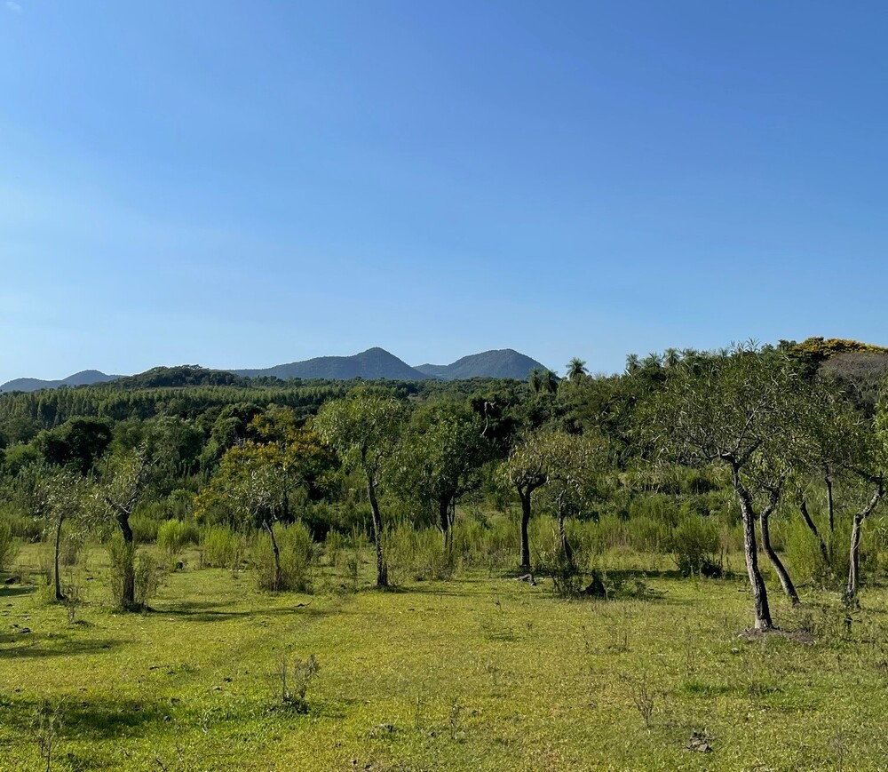 Aussicht in Paraguarí