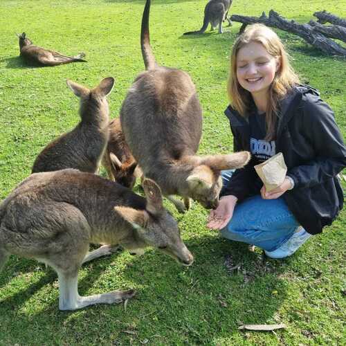 Austauschschülerin in Australien mit Kängurus