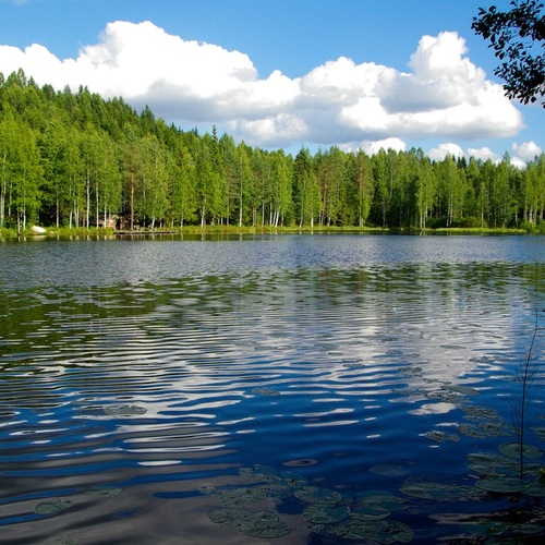 Landschaft in Finnland